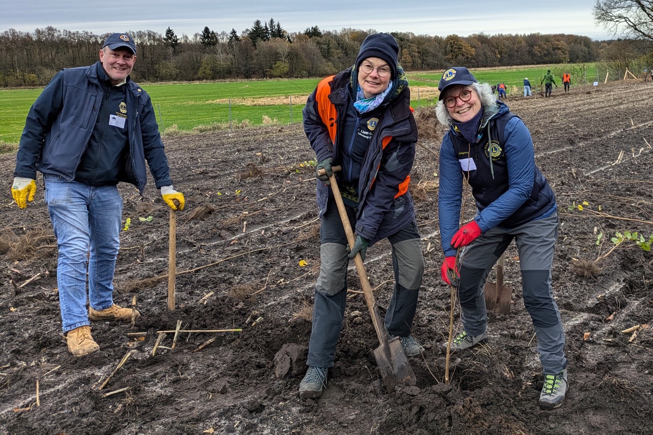 Daniel Runge steht links mit dem Spaten in der Hand. Anja Holtgreve hält den Setzling, während Annette Brand das Pflanzloch wieder mit Erde führt.