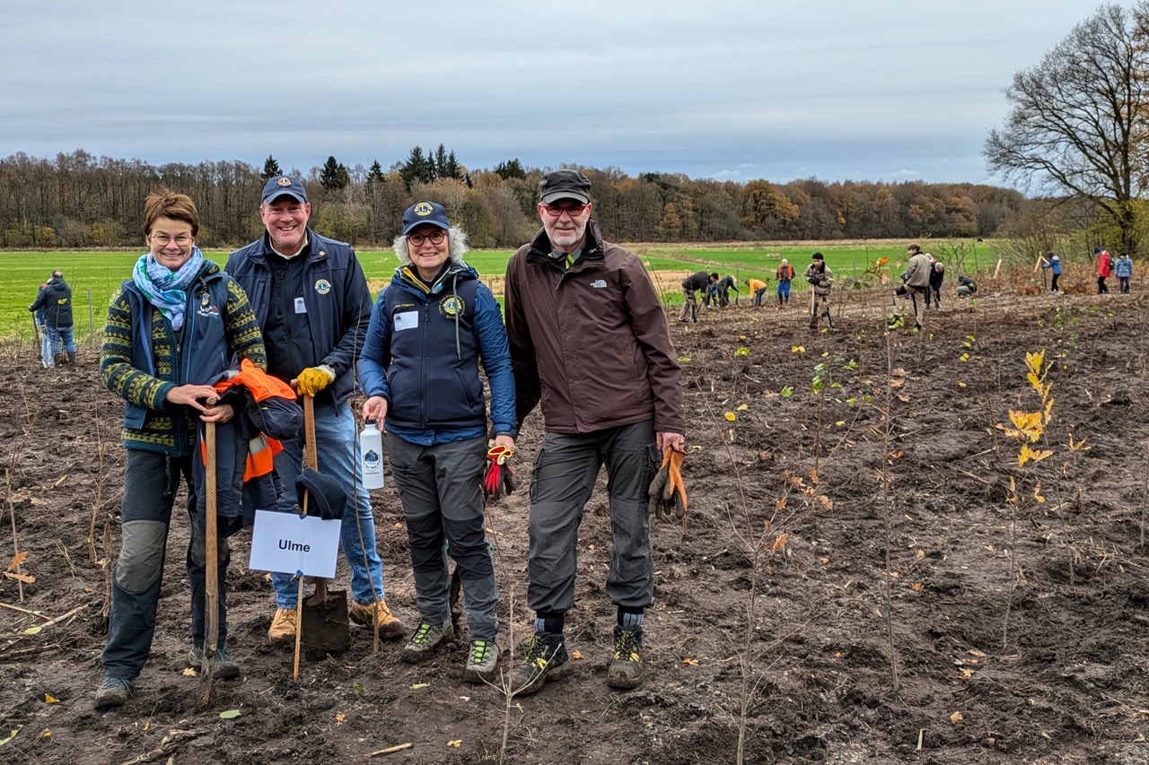 Vier Lionsfreunde stehen mit Spaten in der Hand vor den zuvor angepflanzten Ulmen. Im Hintergrund arbeiten noch andere Gruppen.