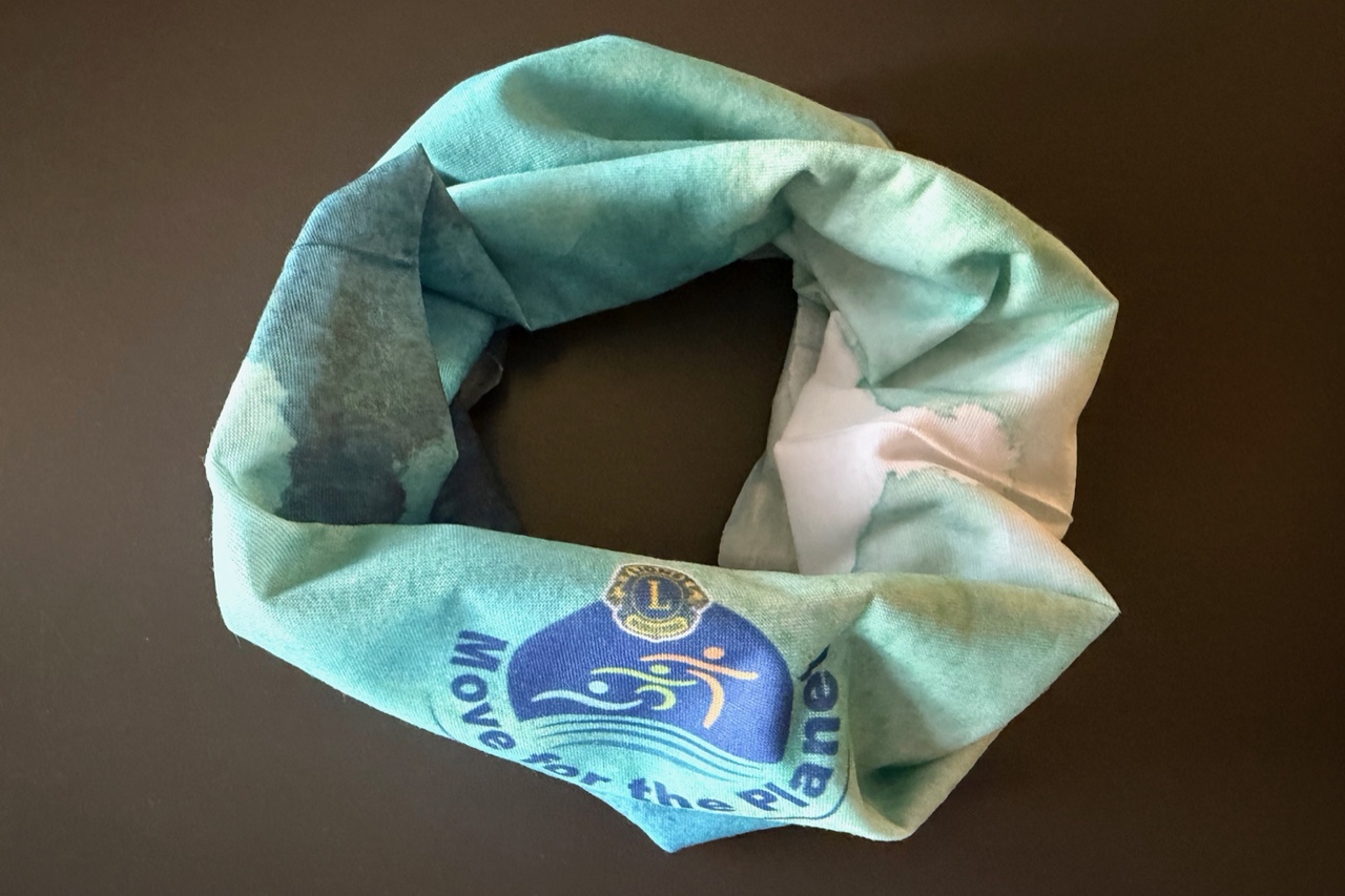 Auf dem Foto ein geraffter Move Loop zur Ansicht.