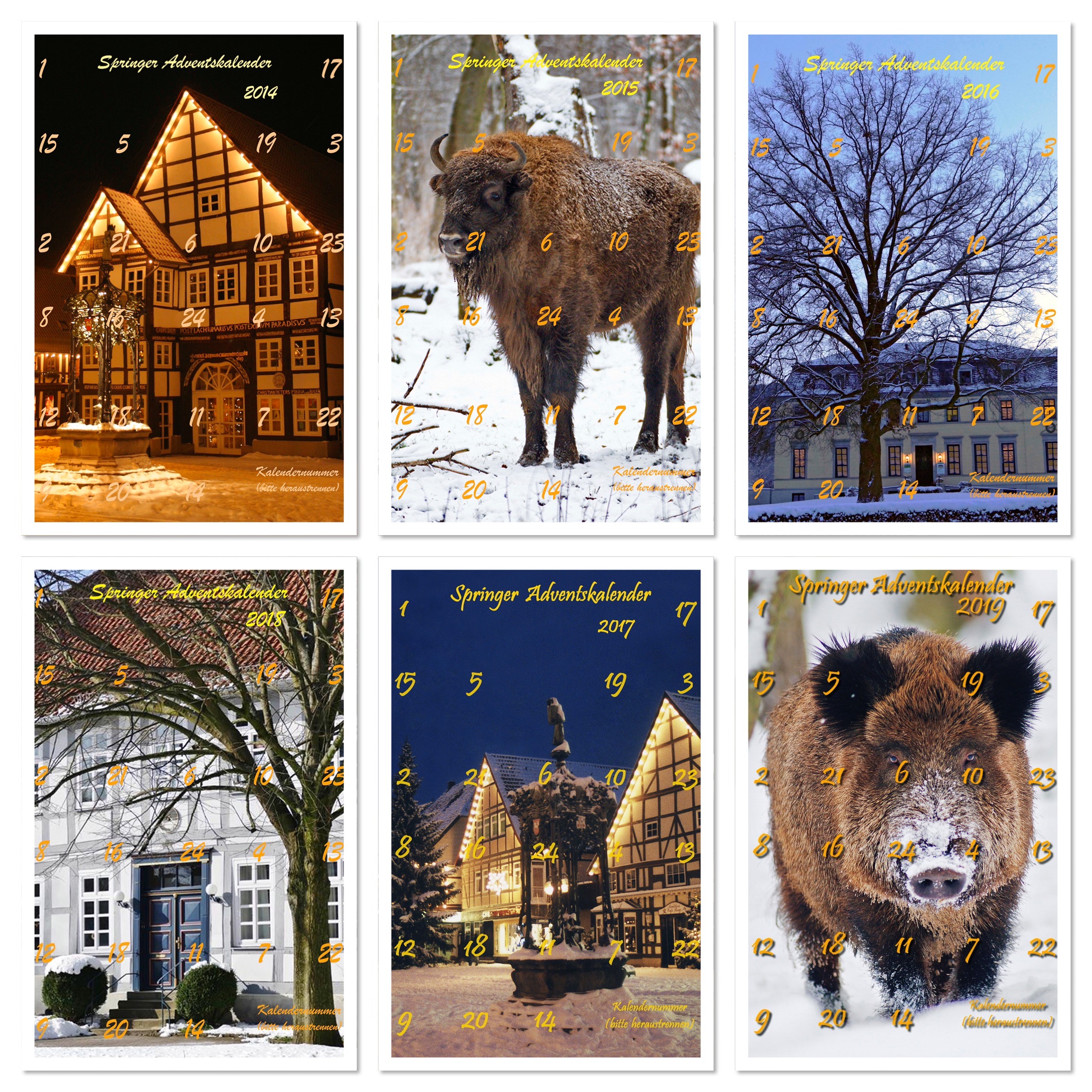 Springer Adventskalender Springer Adventskalender