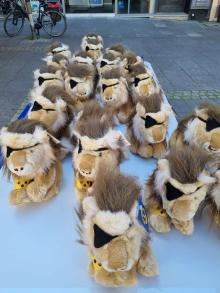Miniaturansicht