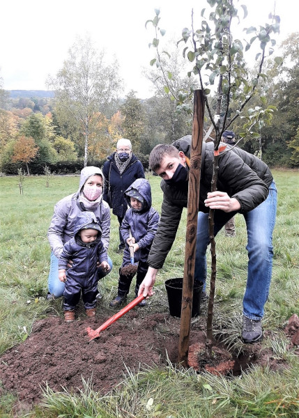 Pflanzung neuer Bäume