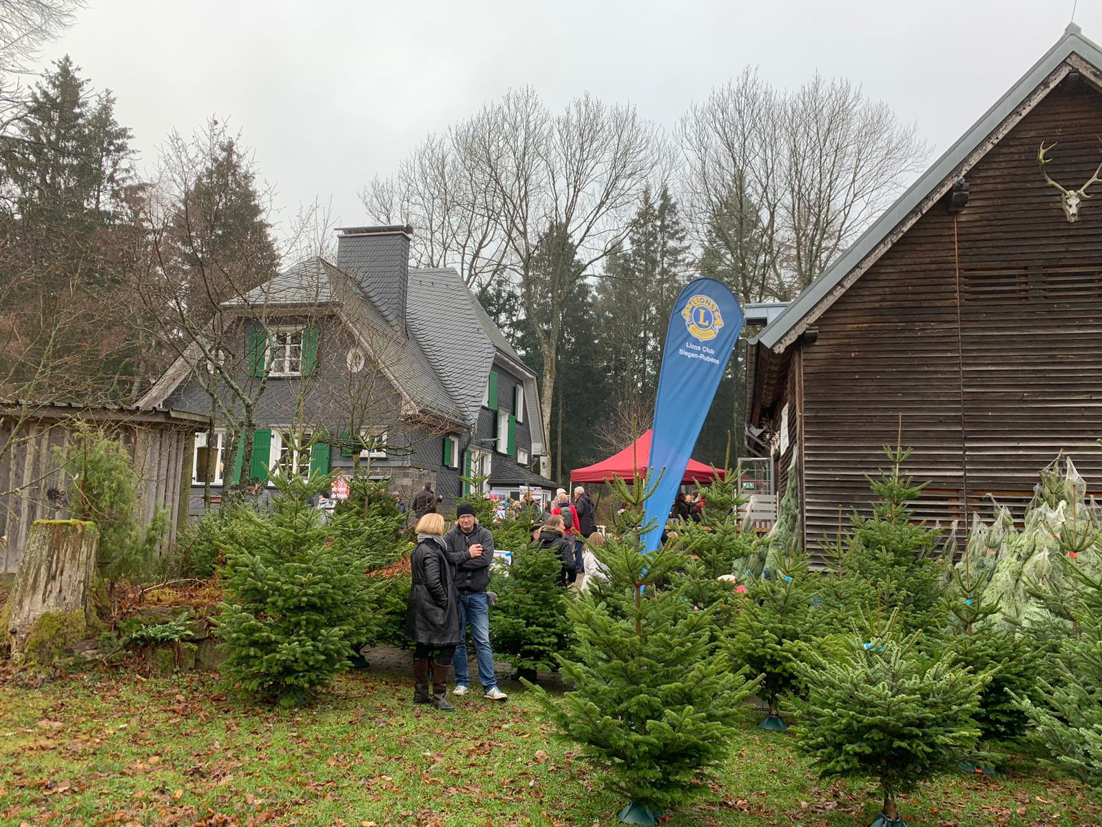 Siegen Rubens Weihnachtsbaum Verkauf Zu Gunsten Der Tafel